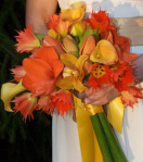 Amarylis Bouquet, Lincoln MA
