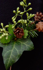 Winter Boutonniere, Boston MA