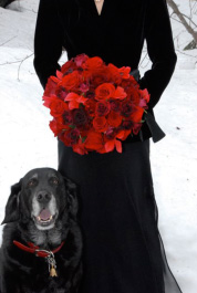 Formal wedding, Black Tie, Winter