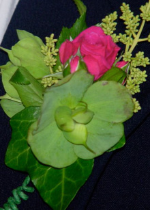 Boutoniere, Cape Cod, MA