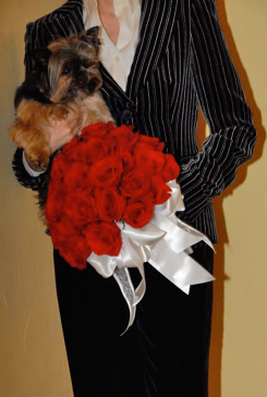 Civil Union, Stowe, VT